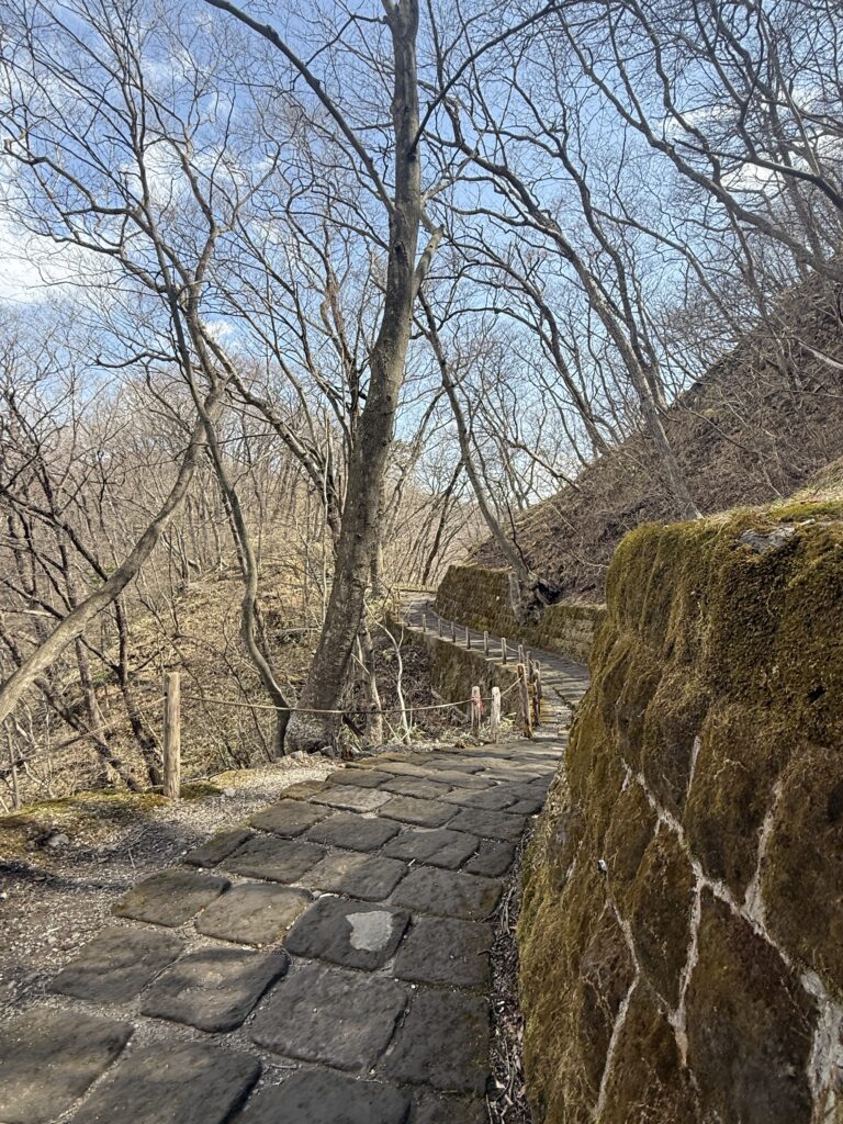 霧降の滝展望台に向かう道