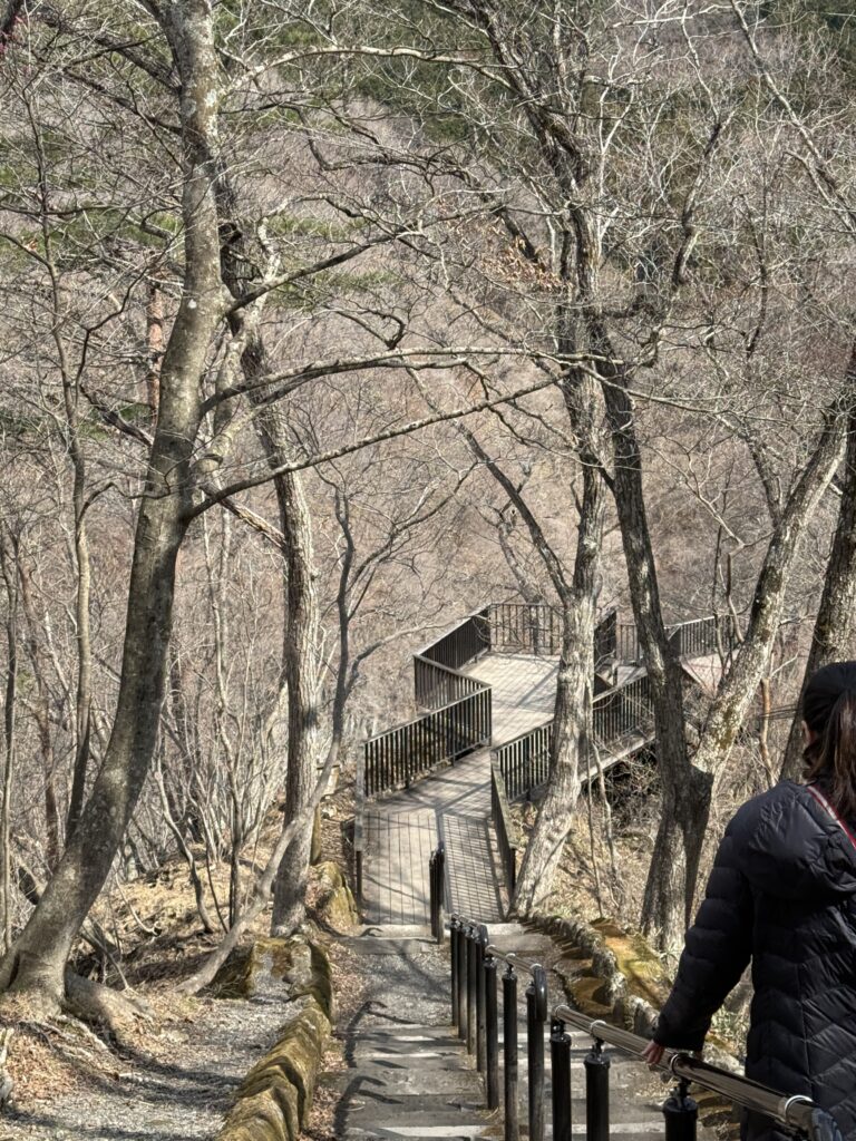 霧降の滝展望台